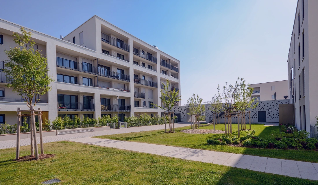 Wie SSOE 600 Mitarbeitern an über 20 Standorten einen gemeinsamen Blick auf ihre Arbeit gab