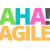 Aha Agile