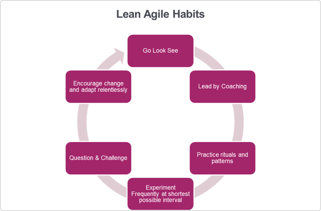 lean-agile habits